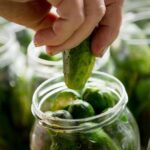 America's pickle obsession explodes as flavor spreads from chips to pizza, smoothies and toothpaste
