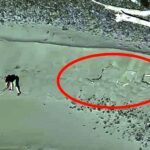 Tourists seeking 'dramatic' photo on isolated beach trapped by incoming tide